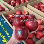 𝐕à𝐨 𝐯ụ đ𝐢ể𝐦 𝐦ớ𝐢 𝐜𝐡𝐮𝐲ế𝐧 𝐧à𝐲 𝐞𝐦 𝐜ó 𝐭á𝐨 𝐱𝐚𝐧𝐡 𝐆𝐫𝐚𝐧𝐧𝐲 𝐒𝐦𝐢𝐭𝐡 𝐍𝐞𝐰 𝐙𝐞𝐚𝐥𝐚𝐧𝐝