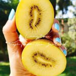 𝐕à𝐨 𝐯ụ đ𝐢ể𝐦 𝐦ớ𝐢 𝐜𝐡𝐮𝐲ế𝐧 𝐧à𝐲 𝐞𝐦 𝐜ó 𝐭á𝐨 𝐱𝐚𝐧𝐡 𝐆𝐫𝐚𝐧𝐧𝐲 𝐒𝐦𝐢𝐭𝐡 𝐍𝐞𝐰 𝐙𝐞𝐚𝐥𝐚𝐧𝐝