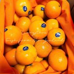 𝐕à𝐨 𝐯ụ đ𝐢ể𝐦 𝐦ớ𝐢 𝐜𝐡𝐮𝐲ế𝐧 𝐧à𝐲 𝐞𝐦 𝐜ó 𝐭á𝐨 𝐱𝐚𝐧𝐡 𝐆𝐫𝐚𝐧𝐧𝐲 𝐒𝐦𝐢𝐭𝐡 𝐍𝐞𝐰 𝐙𝐞𝐚𝐥𝐚𝐧𝐝