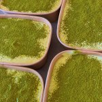 Hello, hôm nay e có sẵn đủ loại bánh ạ