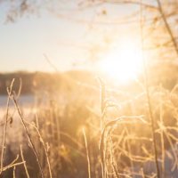 Khi nào New Zealand đổi giờ mùa hè? Lịch Daylight Saving mới nhất